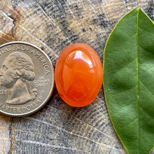 Load image into Gallery viewer, Carnelian Oval High Dome Cabochon
