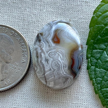 Load image into Gallery viewer, Laguna Lace Agate Oval Cabochon
