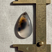 Load image into Gallery viewer, Montana Agate Cabochon
